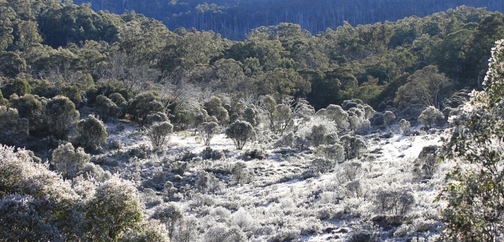 View from our campsite near Dingo Hill Track, Victorian High Country