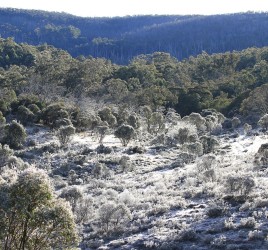 View from our campsite near Dingo Hill Track, Victorian High Country