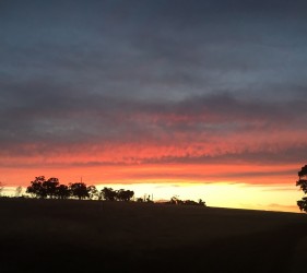 Sunset from Kendenup