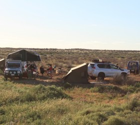 Marian, Whippet, Angus, Mark and Kylie