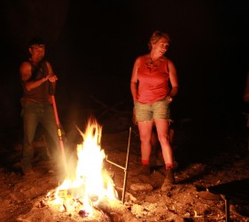 Whippet, Kylie and Angus