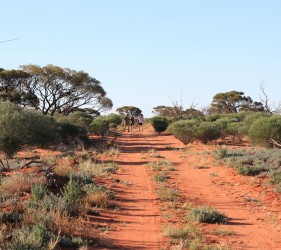 Mark, Jack and Angus